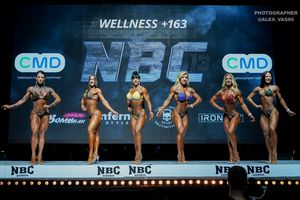 WELLNESS +163